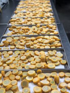 Freeze Dried Sliced Yellow Squash - (pre-blanched)