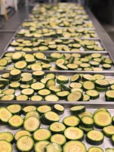 Freeze Dried Sliced Zucchini - (pre-blanched)