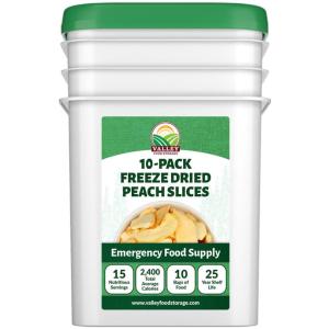 Freeze Dried Peach Slices 10 pack Bucket!