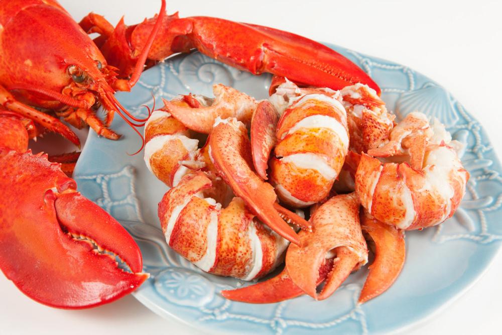 Pre-Sale Freeze Dried Fully Cooked Wild Caught Maine Lobster