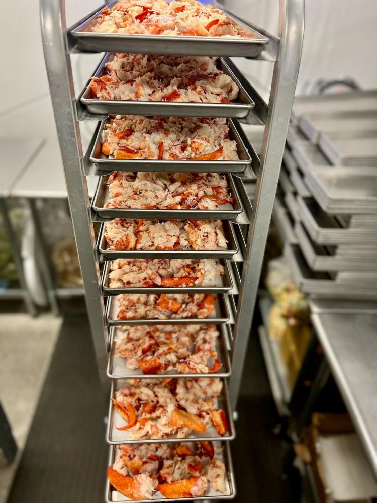 Pre-Sale Freeze Dried Fully Cooked Wild Caught Maine Lobster