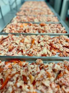 Pre-Sale Freeze Dried Fully Cooked Wild Caught Maine Lobster