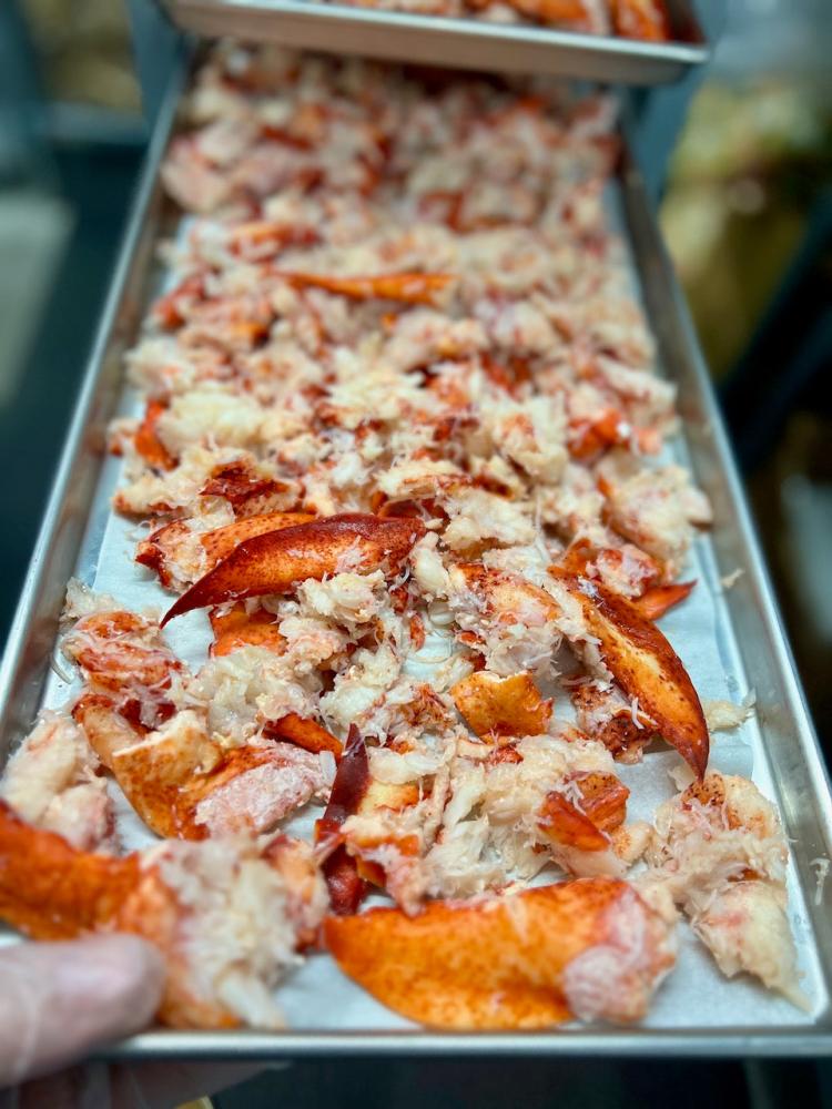 Pre-Sale Freeze Dried Fully Cooked Wild Caught Maine Lobster