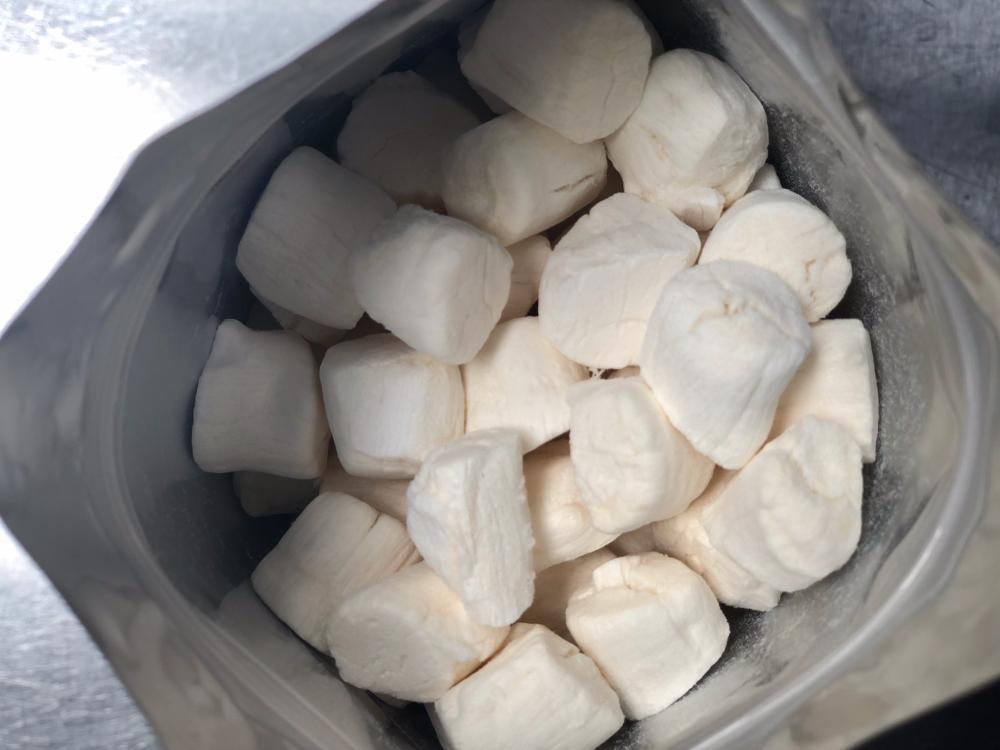 Freeze Dried Scallops