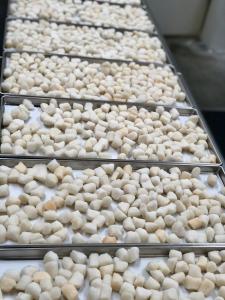 Freeze Dried Scallops