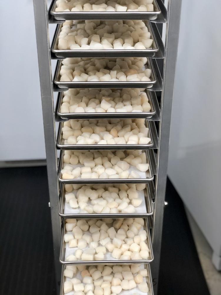 Freeze Dried Scallops