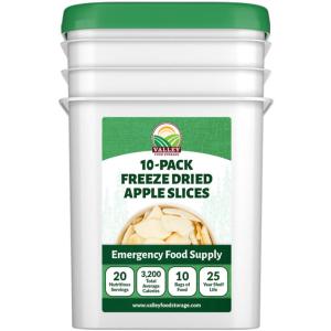 Freeze Dried Apple Slices - 10 Pack