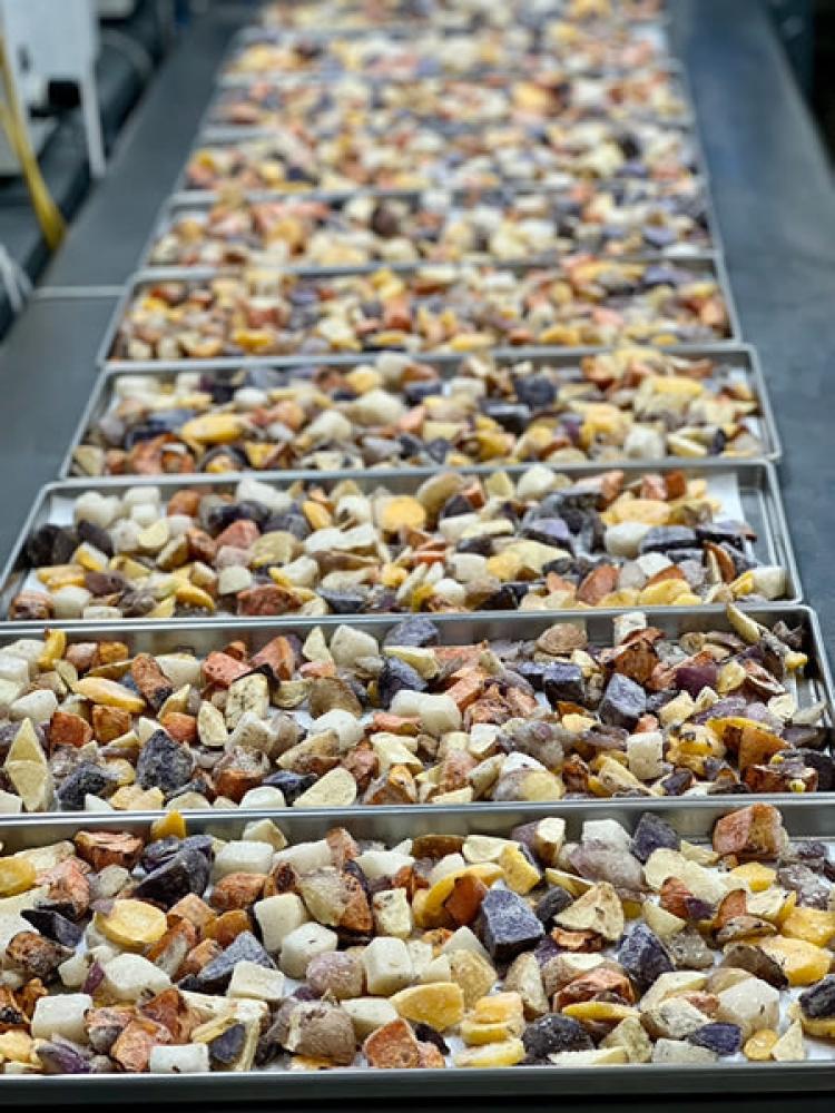 Freeze Dried Roasted Root Vegetables