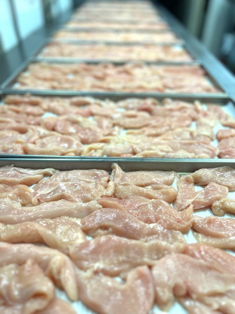 Freeze Dried Uncooked Chicken Breast Strips