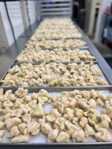 Freeze Dried Cauliflower