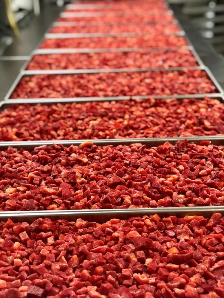 Freeze Dried Diced Red Peppers