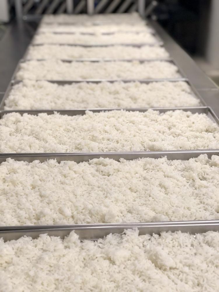 Freeze Dried Long Grain White Rice