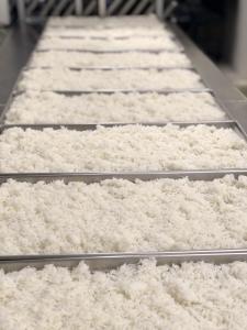 Freeze Dried Long Grain White Rice