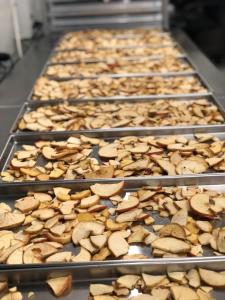 Freeze Dried Apple Chips