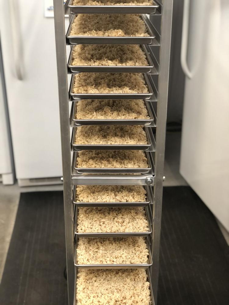 Freeze Dried Long Grain Brown Rice