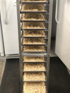 Freeze Dried Long Grain Brown Rice