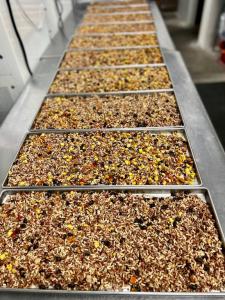 Freeze Dried Exotic Grains and Fire Roasted Vegetables