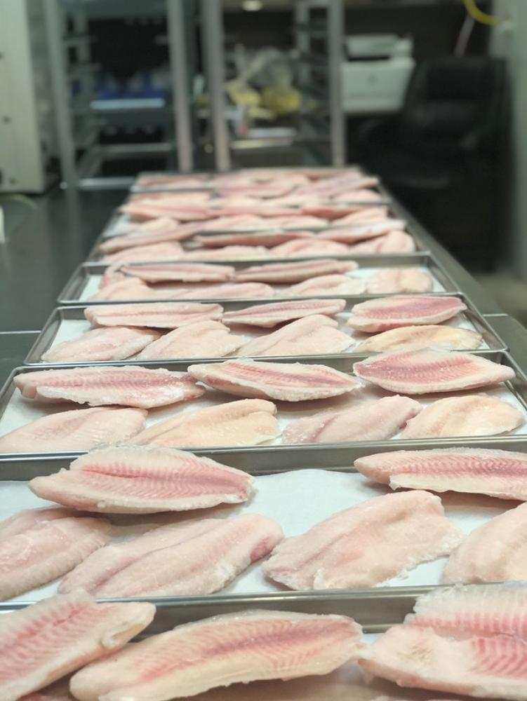 Freeze Dried Tilapia Filllets