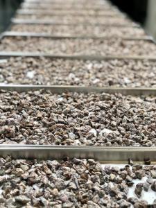 Freeze Dried Diced Black Mission Figs