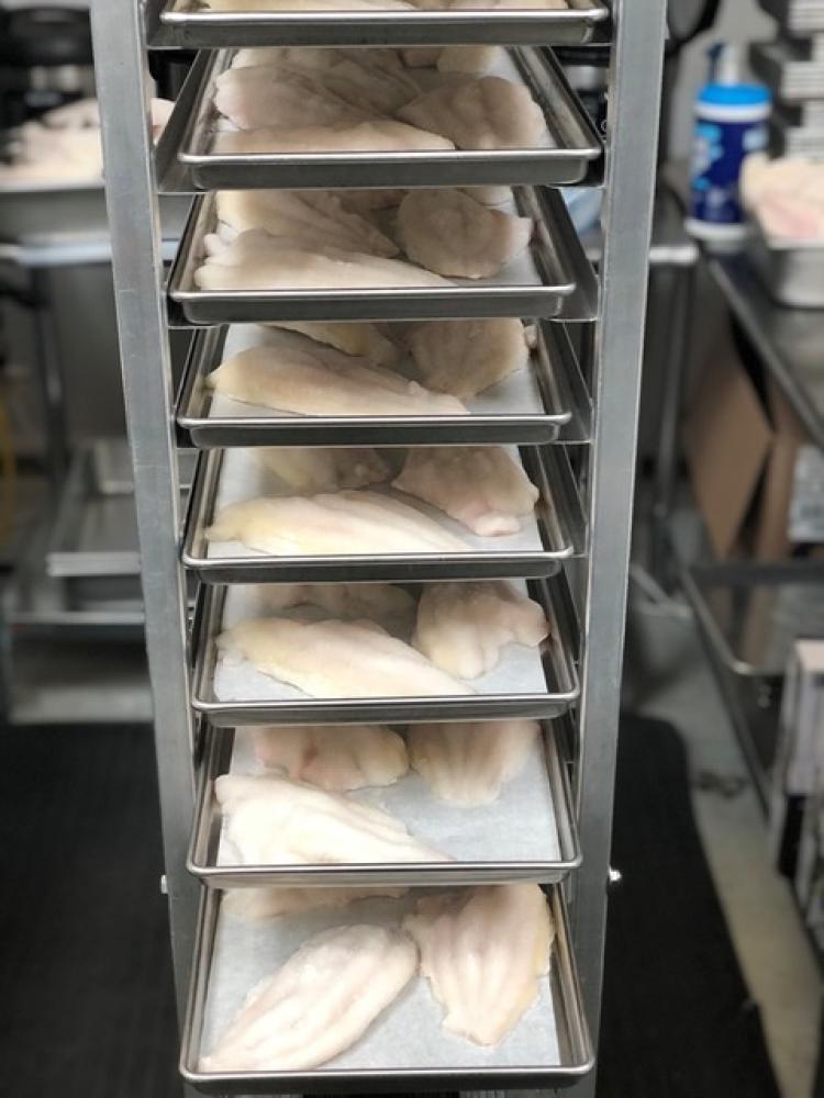 Freeze Dried Catfish Fillets