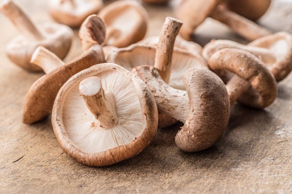 Freeze Dried Whole Shiitake Mushrooms