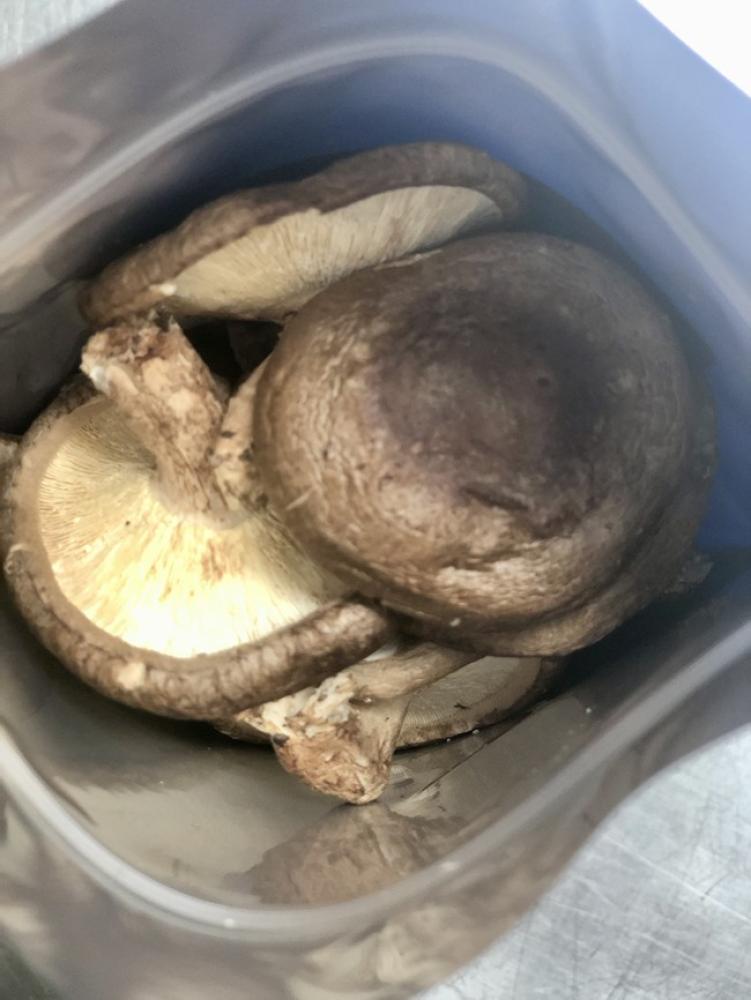 Freeze Dried Whole Shiitake Mushrooms