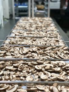 Freeze Dried Sliced Crimini Mushrooms