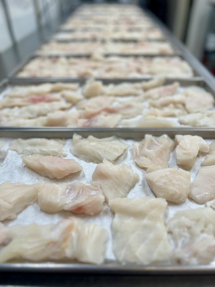 Freeze Dried Wild Caught Alaskan Halibut