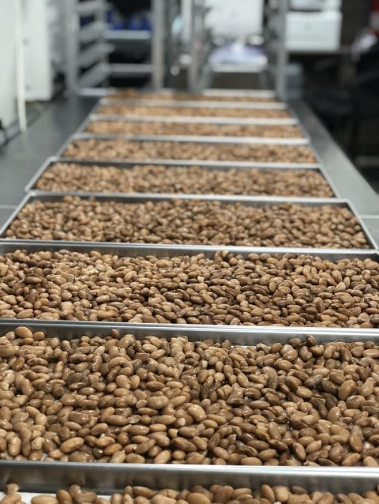 Freeze Dried Fully Cooked Pinto Beans