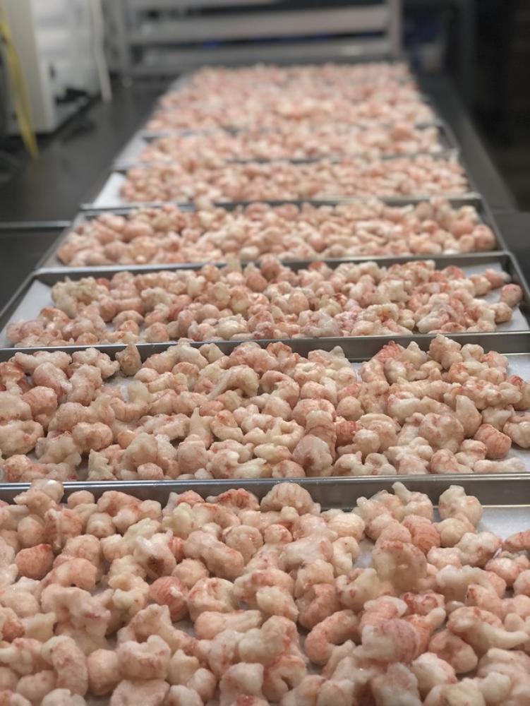 Freeze Dried Langoustines - Tails - (small lobster-like)