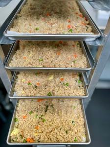 Freeze Dried Gourmet American-Chinese Inspired Fully Prepared Fried Rice