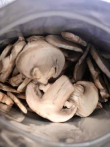 Freeze Dried Sliced White Mushrooms