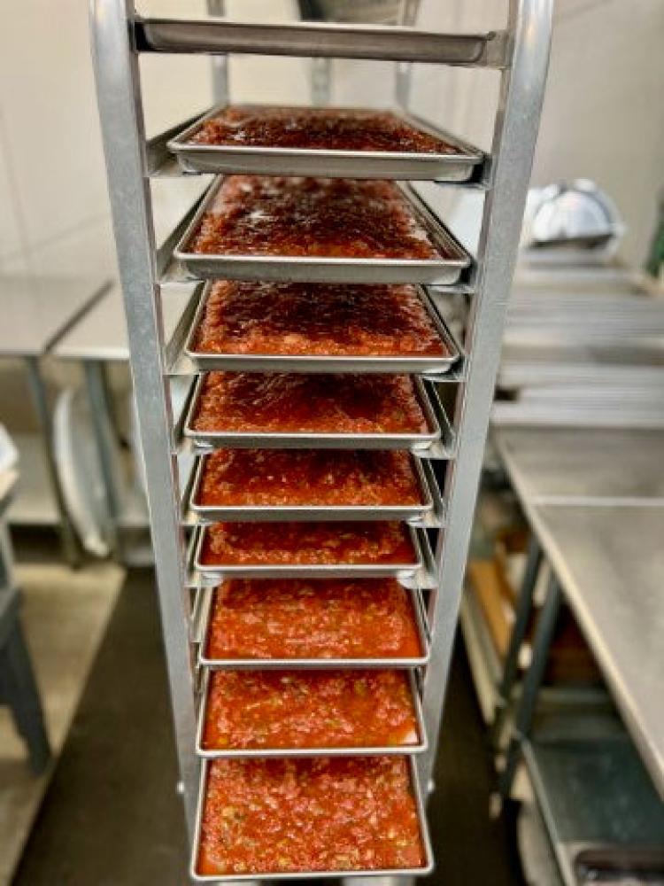 Freeze Dried Fresh Salsa