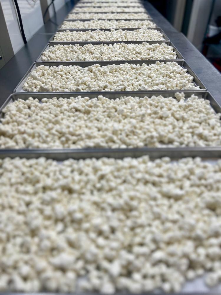 Freeze Dried Crumbled Local Goat Cheese