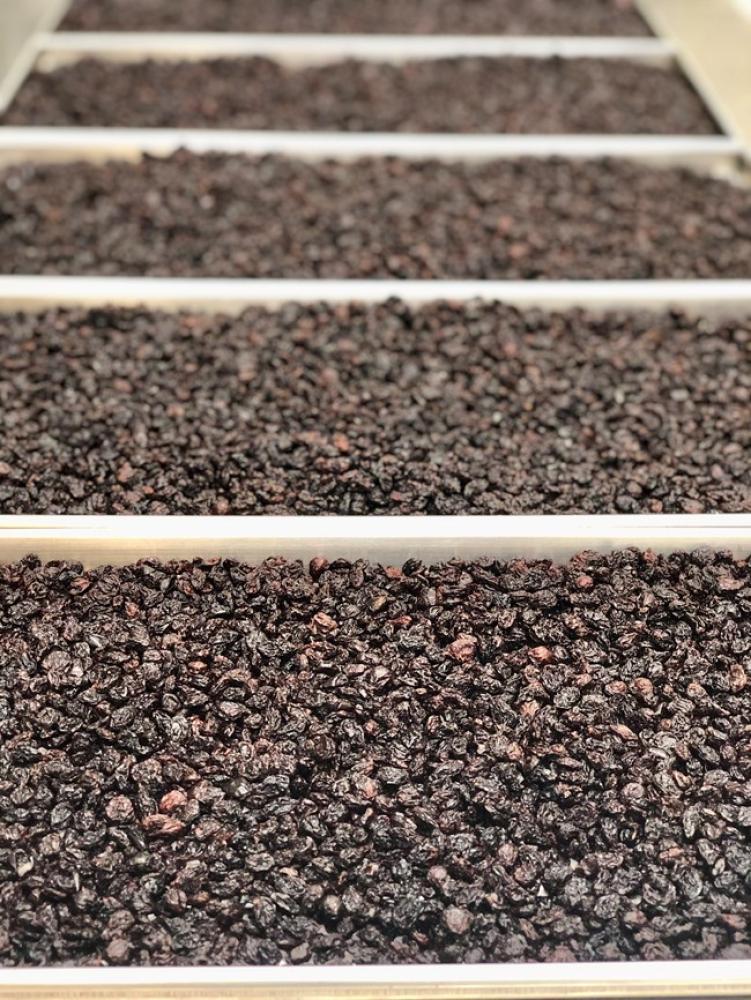 Freeze Dried Zante Currant Raisins