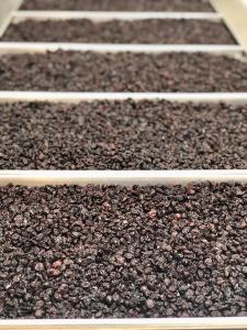 Freeze Dried Zante Currant Raisins