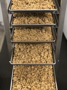 Freeze Dried Pumpkin Seed and Flax Granola