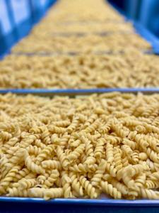 Freeze Dried Fully Cooked Rotini Pasta