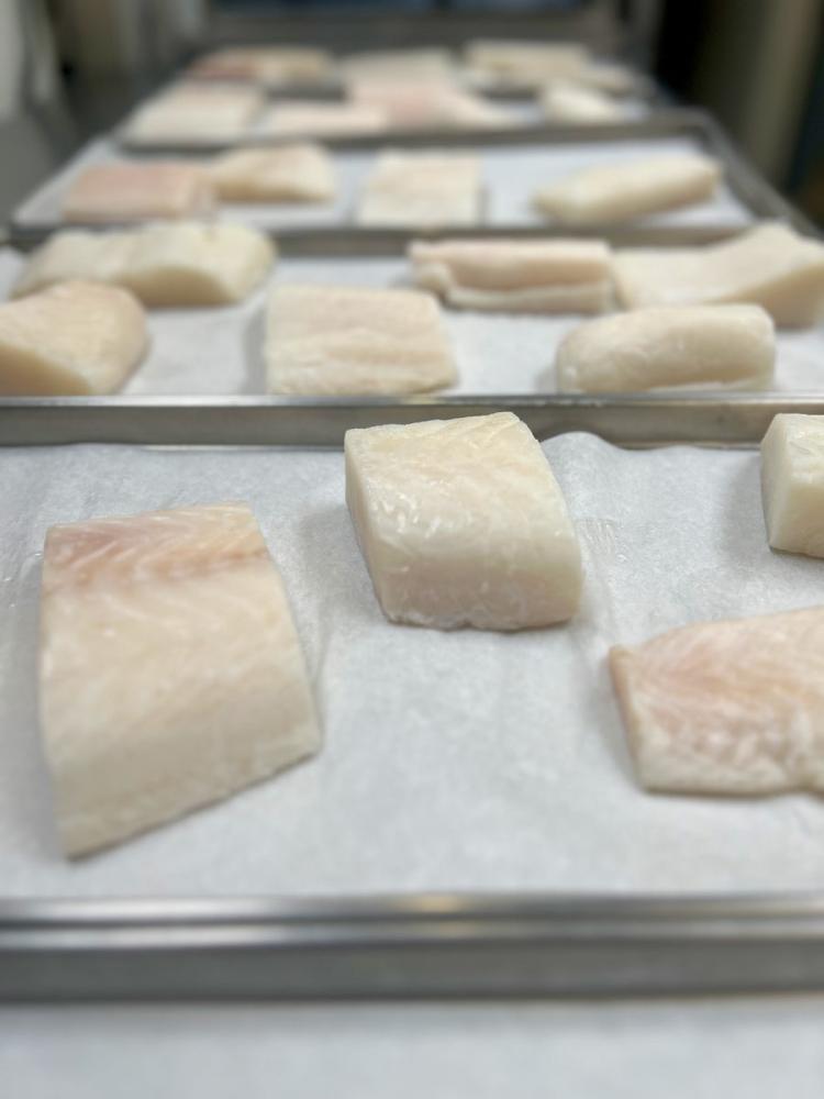 Freeze Dried Freshly Wild Caught Uncooked Chilean Sea Bass