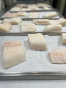 Freeze Dried Freshly Wild Caught Uncooked Chilean Sea Bass