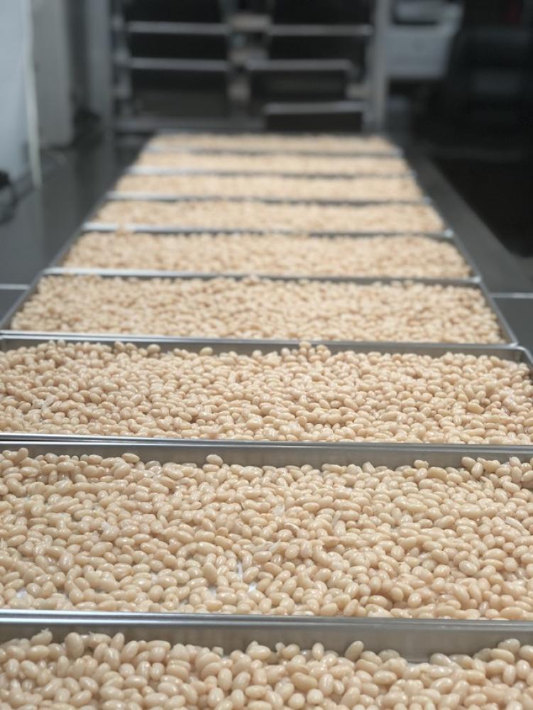 Freeze Dried Fully Cooked Small White Navy Beans