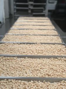 Freeze Dried Fully Cooked Small White Navy Beans