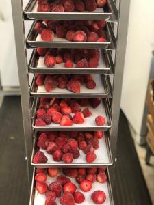 Freeze Dried Strawberries and Chocolate Cake Combo Box