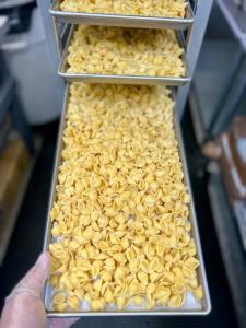 Freeze Dried Fully Cooked Pasta Shells