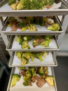 [PRE-SALE] Freeze Dried Gourmet American-Chinese Inspired Fully Prepared Broccoli Beef Entree