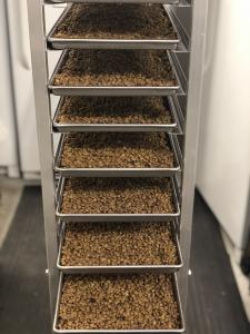 Freeze Dried Fully Cooked Green Lentils