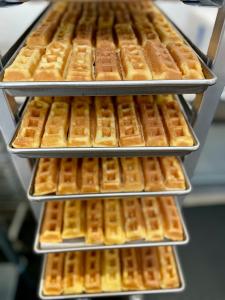 [LIMITED PRODUCTION] Freeze Dried Fully Cooked Belgian Waffle Sticks