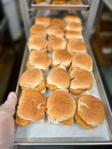 Pre-Sale Freeze Dried Chicken Breast Slider