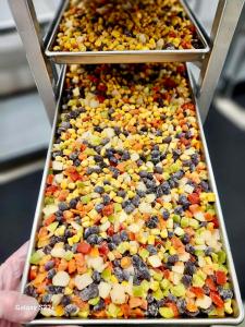 Freeze Dried Fully Cooked Roasted Corn and Black Bean Fiesta Blend