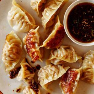[LIMITED PRODUCTION] Freeze Dried Gourmet Fully Prepared Chicken and Vegetable Potstickers